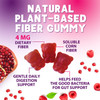 Fiber Gummies 4g - Sugar Free Gummy Fiber Supplement for Adults