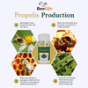 Beelife Green Propolis Capsules- 100% Green Propolis and Bee Pollen Capsule