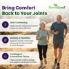 ForestLeaf Glucosamine Chondroitin MSM Joint Supplement Complex