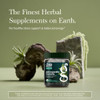 Gaia Herbs Organic Ashwagandha Gummies - Stress Support*