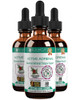 Rejuvica Health Active Adrenal - Advanced Adrenal Support Tincture