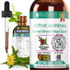 Rejuvica Health Active Adrenal - Advanced Adrenal Support Tincture