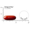 Dr. Sinatra Omega Q Plus- Omega-3 and CoQ10 Supplement Delivers Everyday Heart
