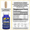 Acetylcholine Brain Food - Acetyl L-Carnitine & Alpha GPC Supplement