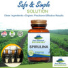Pure Mountain Botanicals Spirulina Capsules - 90 Kosher Vegan Caps