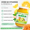 EverSmith Organics - Wildcrafted Irish Sea Moss Gel