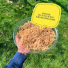 Sea Moss - Irish Sea Moss - Wildcrafted