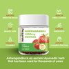 Nature's Key Ashwagandha Gummies, 3000mg High Potency Ashwagandha Root Extract