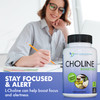 Premium Choline - 500 mg - 120 Veggie Capsules