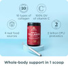 Ancient Nutrition Collagen Powder Protein with Probiotics, Unflavored Multi