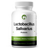 Lactobacillus Salivarius Probiotic Supplement 240 Tablets 3 Billion CFU