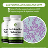 Lactobacillus Salivarius Probiotic Supplement 240 Tablets 3 Billion CFU
