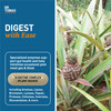 Dr. Tobias Digestive Enzymes with Amylase, Bromelain, Lipase, Lactase, Protease