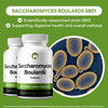 Saccharomyces Boulardii Probiotic Supplement 240 Tablets 3 Billion CFU