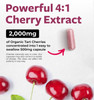 Organic Tart Cherry Capsules