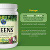 Whole Earth & Sea from Natural Factors, Organic Fermented Greens, Vegan Whole