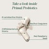 Primal Harvest Probiotics for Women and Men Shelf-Stable with Prebiotics Daily