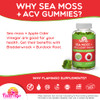 Sea Moss Gummies with Apple Cider Vinegar, Bladderwrack, and Burdock Root