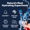 Voli Electrolytes Powder Packets