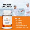 VITASEI Salmoflex Marine Collagen Peptides Pills W/Hyaluronic Acid, Vitamin C