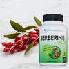 DOCTOR RECOMMENDED SUPPLEMENTS Berberine Plus 1200mg Per Serving