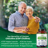 Zazzee Extra Strength Citicoline, 500 mg per Serving, 100 Vegan Capsules