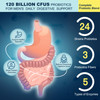 Probiotics for Men Digestive Health, 120 Billion CFUs Mens Probiotic