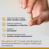 Premier Research Labs MicroBiome-18