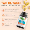 Zenwise Health No Bloat Digestive Enzymes for Gut Health, Gas & Bloating Relief