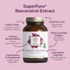 PURE SYNERGY SuperPure Resveratrol Extract - Organic Resveratrol Supplement