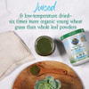 Garden of Life Raw Organic Perfect Food 100% Organic USA Wheat Grass Juice