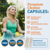 Dr. Tobias Alpha GPC 600mg Per Serving