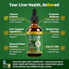 VitaLiver - Liver Health Supplement - Support Liver Cleanse & Detox