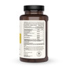 The Wellness Company Spike Support