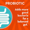Align Probiotic, Gut Health + Stress Support, with Probiotics for Digestive