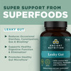 Ancient Nutrition Gut Health Supplement Leaky Gut Capsules, 60ctFormulated