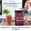 Ancient Nutrition Collagen Peptides Powder, Multi Collagen Protein, Women & Men