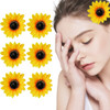 6PK Sunflower Hair Clip Simulation of Daisy Salon Clip Large Sectioning Clips Hair Alligator Hairpin Clamp Barrettes Styling Accessories for Women He