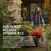 Bronson Vitamin B12 1000 mcg Sustained Release Premium Non GMO Tablets Supports