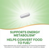 Nature's Way Vitamin B1, High Potency, 100 mg Thiamin per Serving, Thiamin HCl