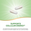 Nature's Way Pantothenic Acid, Supports Cellular Energy*, 500mg Per Serving, 100
