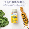 Solaray Vitamin B Complex 100 mg