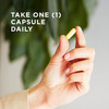 Solgar B-Complex "100", 50 Vegetable Capsules