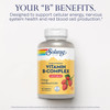 SOLARAY Vitamin B-Complex Chewables, Strawberry, Healthy Energy, Red Blood Cell