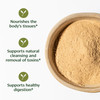 Banyan Botanicals Amla (Amalaki) Powder - Organic Phyllanthus Emblica