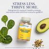SOLARAY Mega Vitamin B-Stress, Timed-Release Vitamin B Complex with 1000 mg