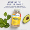 SOLARAY Mega Vitamin B-Stress