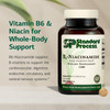 Standard Process B6-Niacinamide Energy Metabolism Health Dietary Support