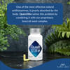 Mara Labs QuercElite Bioavailable Quercetin