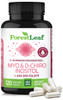 Myo-Inositol & D-Chiro Inositol Supplement for Women's Health